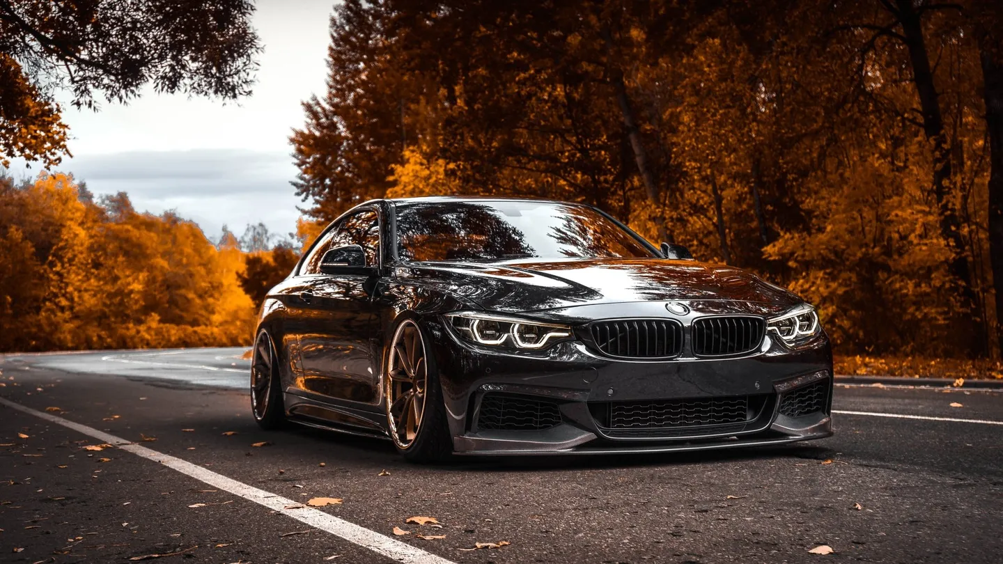 A dark BMW coupe on an autumn road
