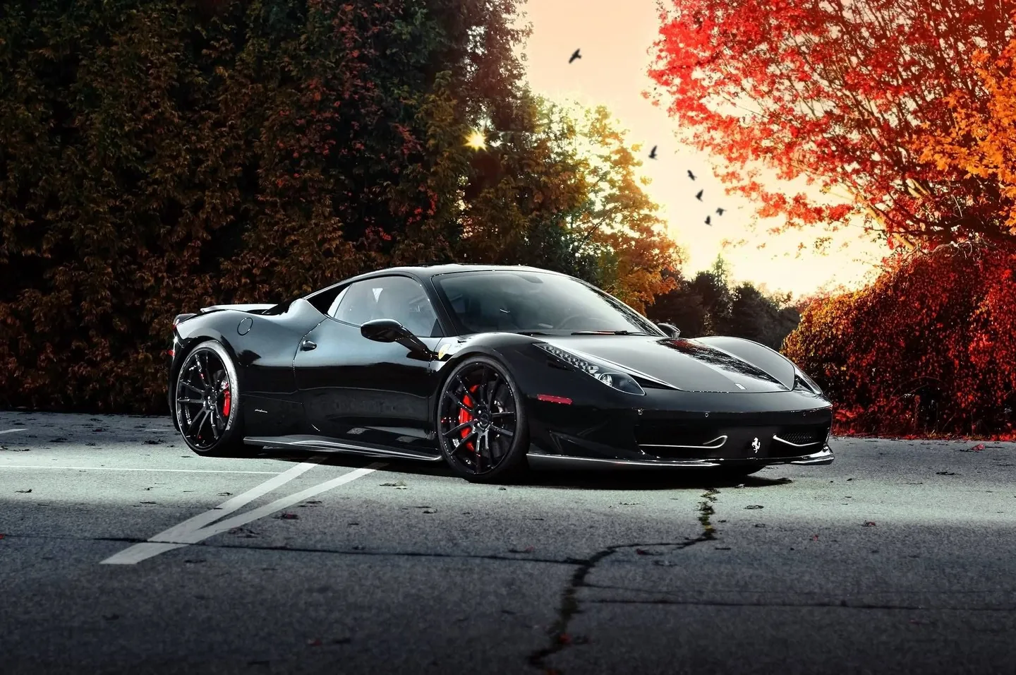 A dark Ferrari sports car beside autumn trees