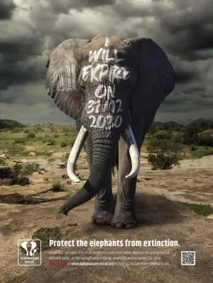 Wildlife-protection poster with lettering on an elephant